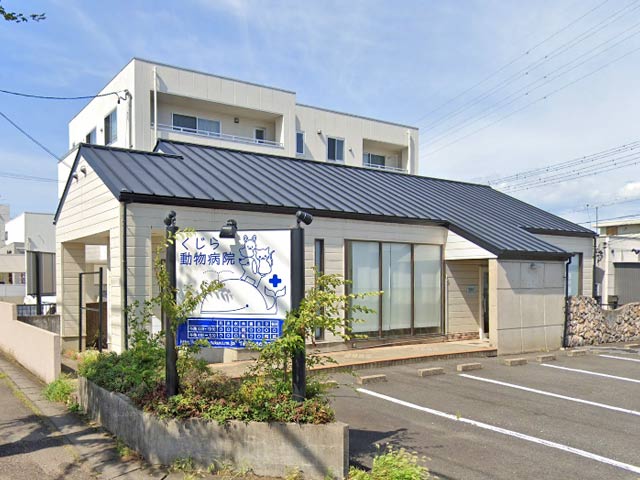 くじら動物病院